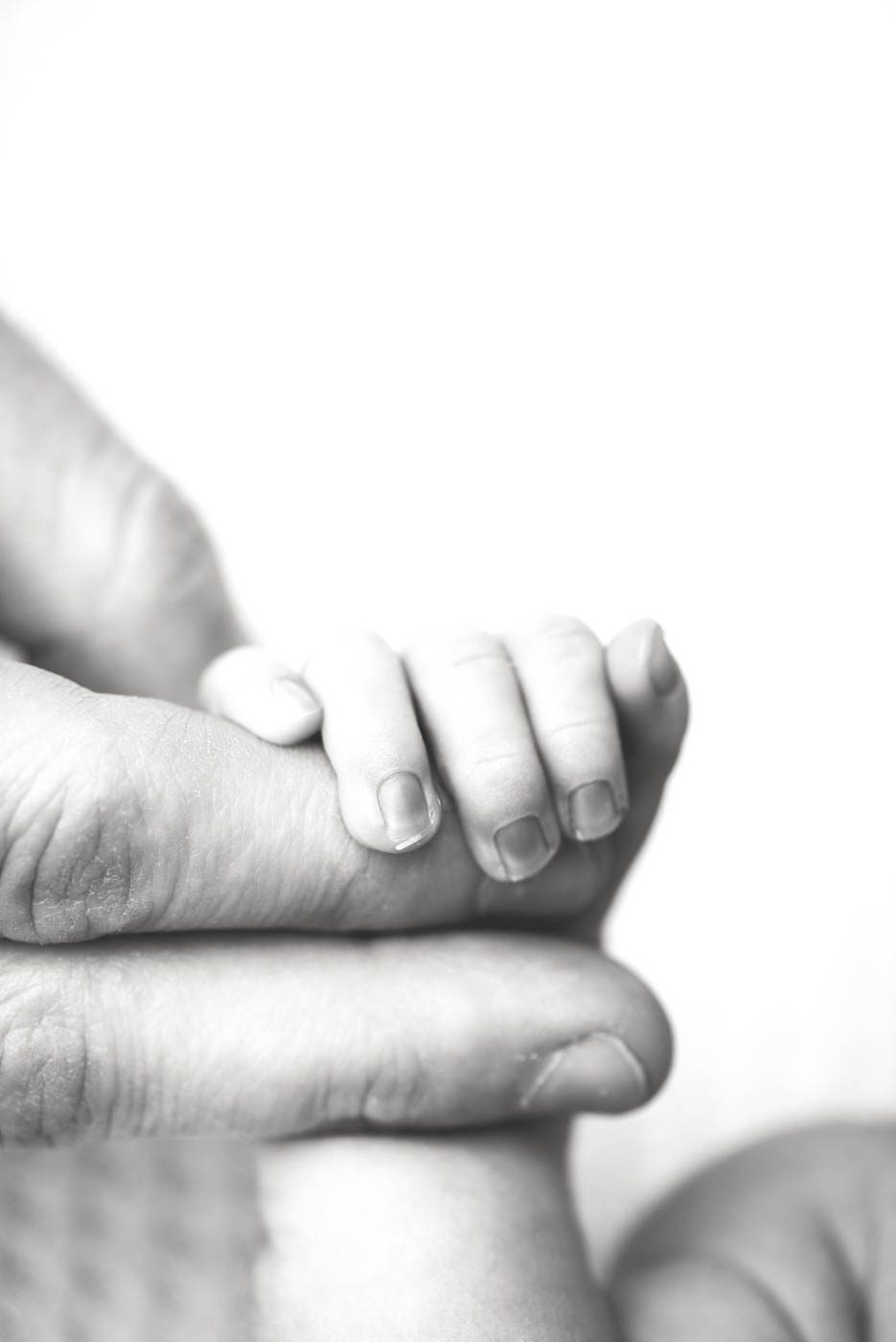 Newborn Baby'S Hand Resting In A Parent'S Hand During A Newborn Photography Session