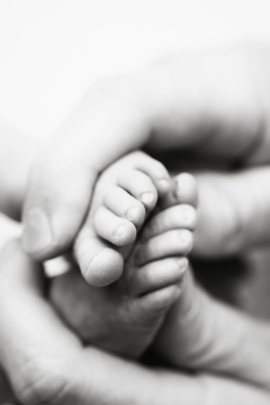 Close-Up Of A Newborn Baby'S Tiny Toes Photographed During A Newborn Session