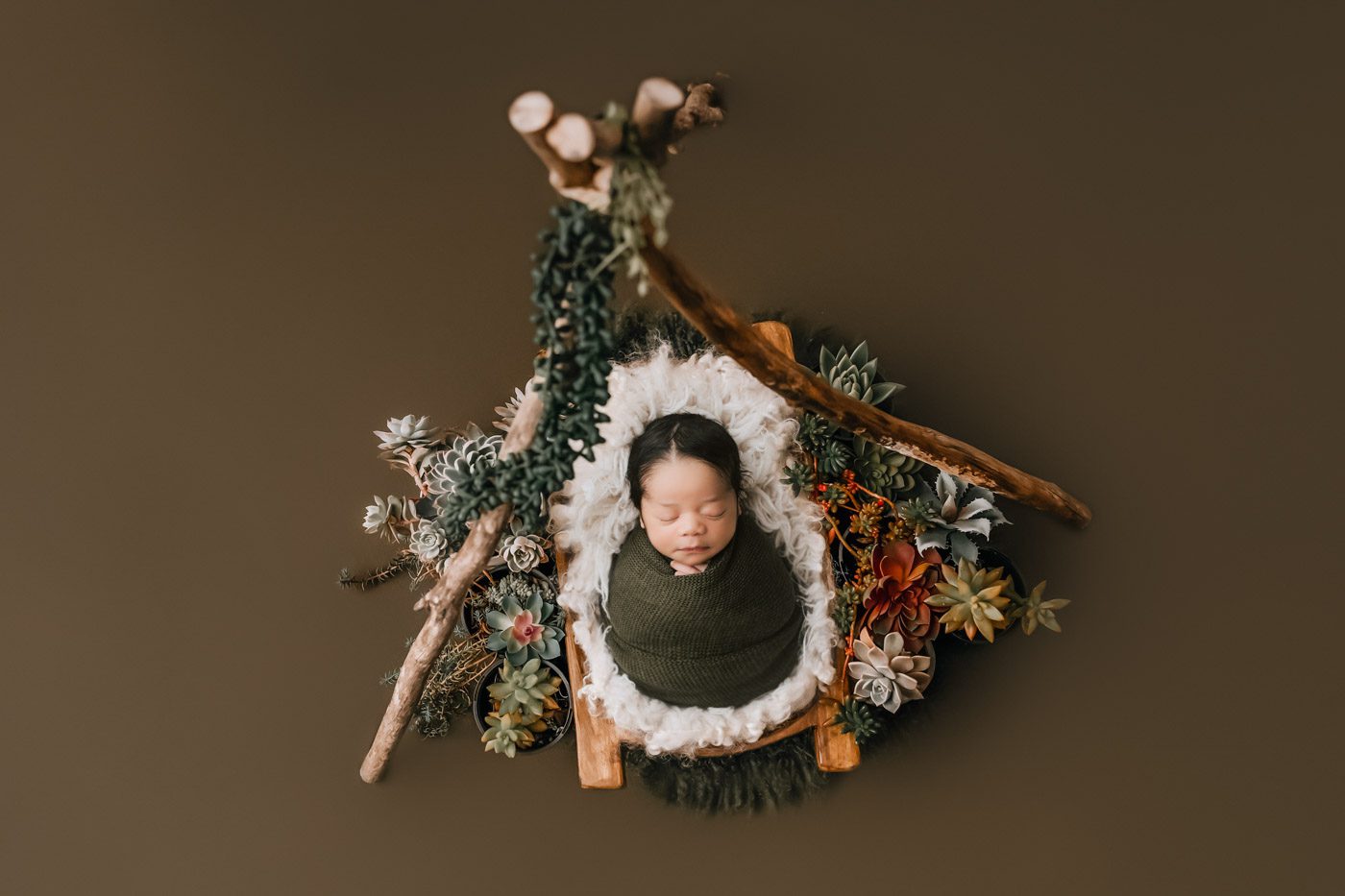 Newborn Baby Photo In Rustic Setup With Natural Wood And Greenery